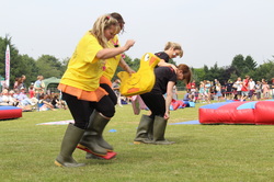 It's a Knockout Show